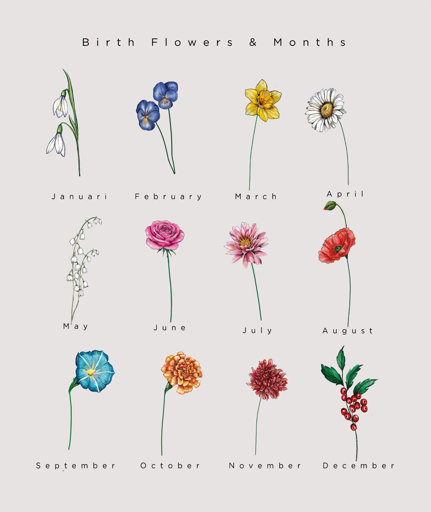 A collection of illustrated birth flowers representing each month of the year, arranged together on a soft, neutral background in a delicate and minimalistic style.
