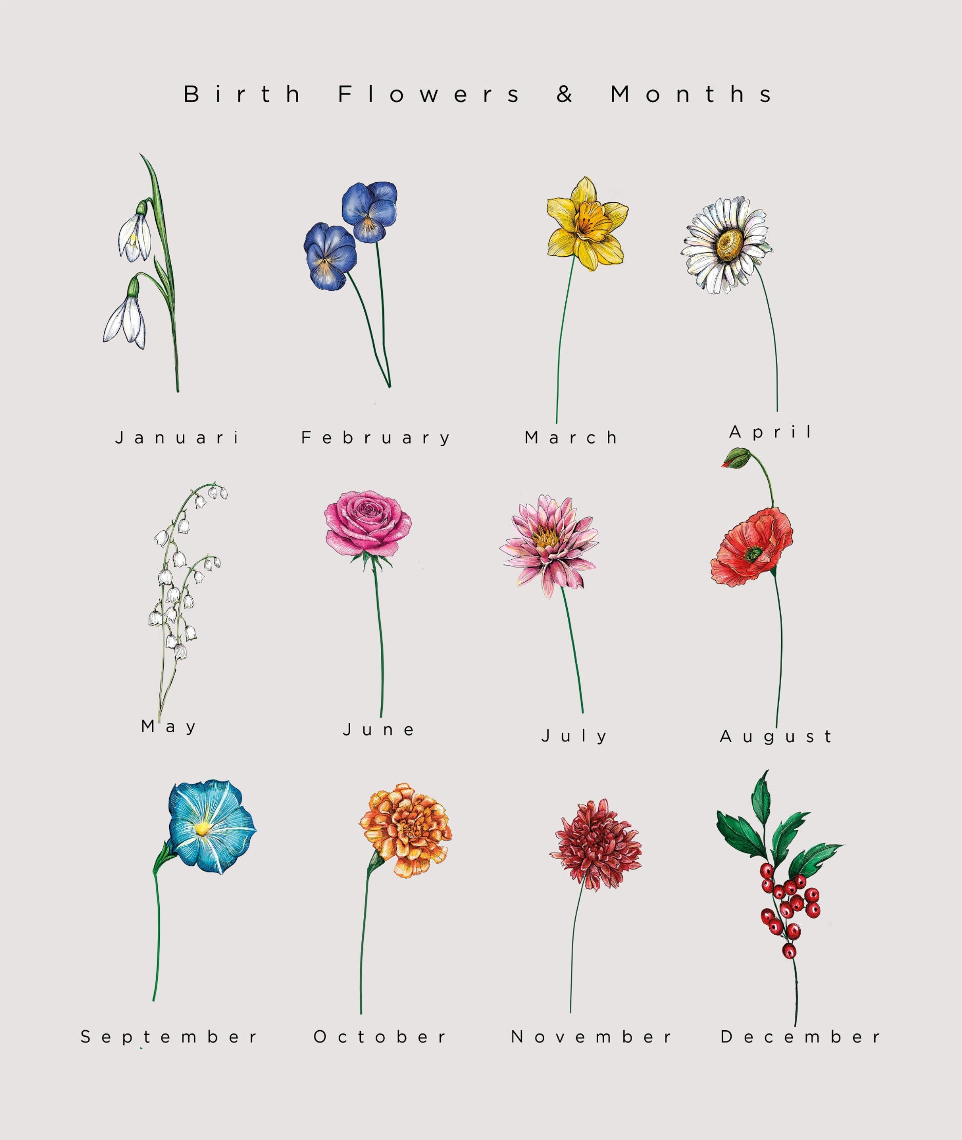 A collection of illustrated birth flowers representing each month of the year, arranged together on a soft, neutral background in a delicate and minimalistic style.