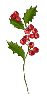 December birth flower – Holly, hand-painted